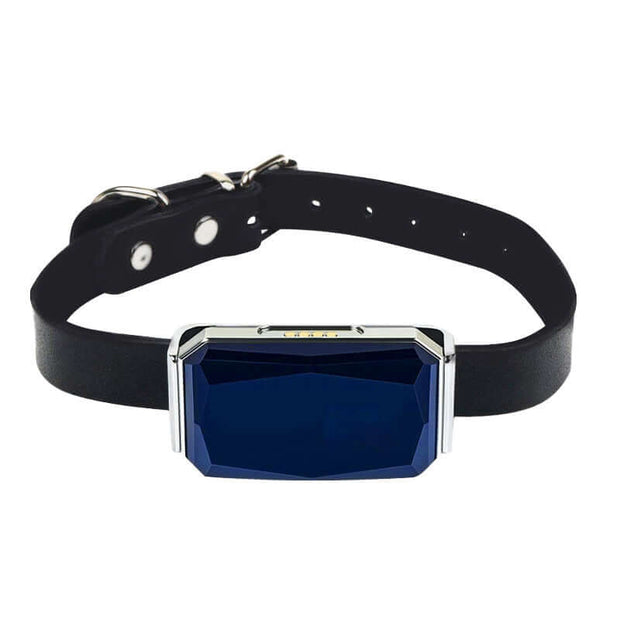 רצועת ניטרין של G12 Smart GPS pet tracker, עמידה למים, קולר לאיבוד כלבים וחתולים - eprolo