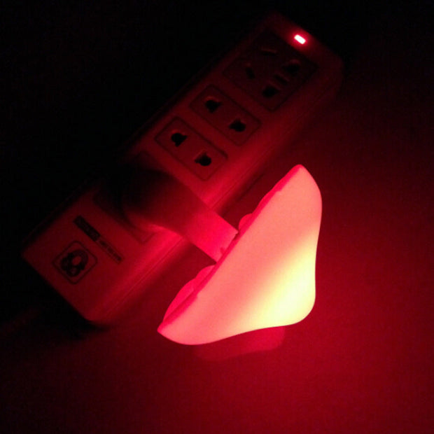 LED Night Light
