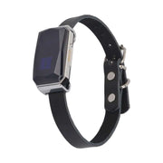 G12 Smart GPS pet tracker by eprolo displayed on a collar, showing sleek and stylish design.