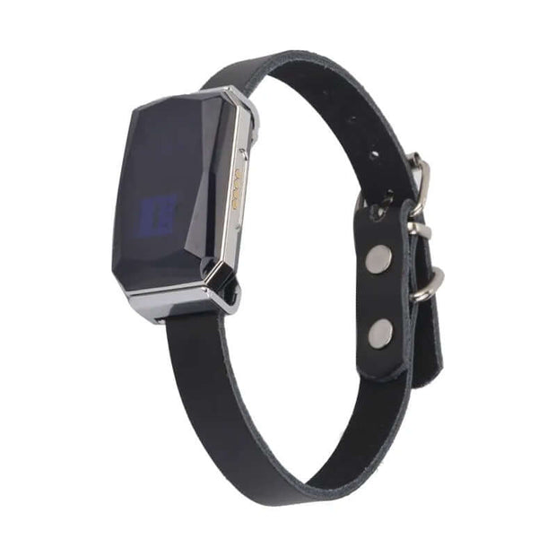 G12 Smart GPS pet tracker by eprolo displayed on a collar, showing sleek and stylish design.